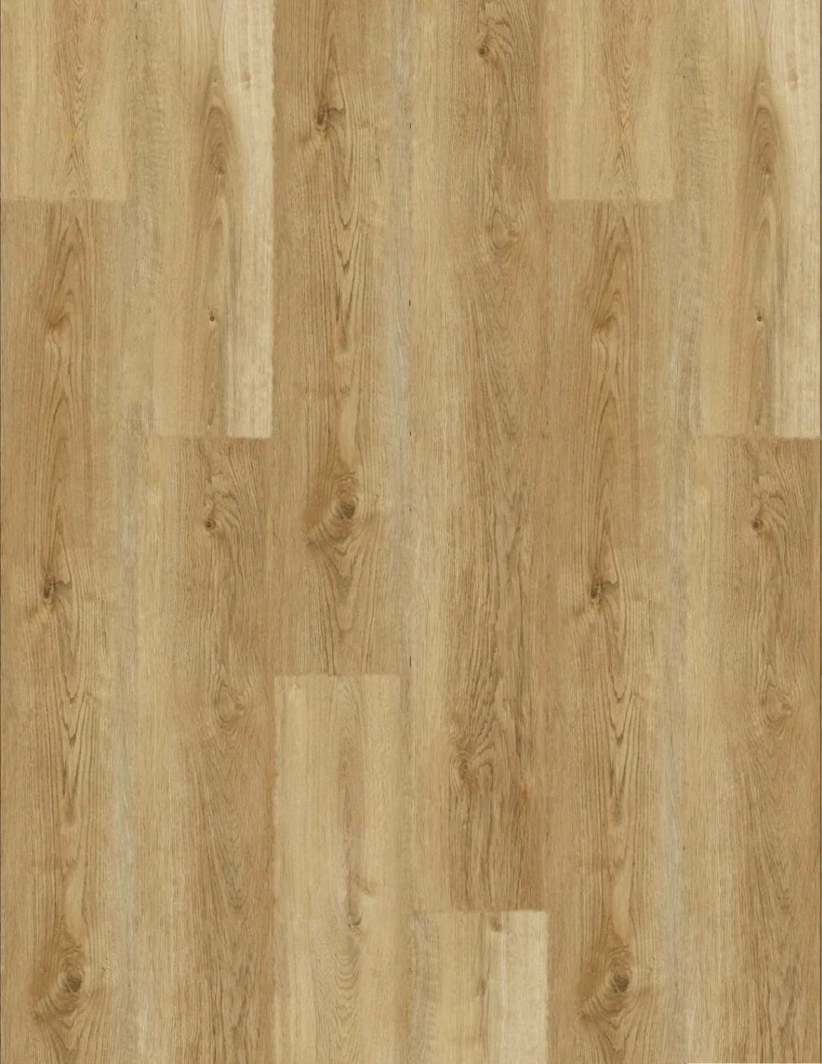 English Oak Podłogi z Natury – panele winylowe SPC na klik 5 mm PzN