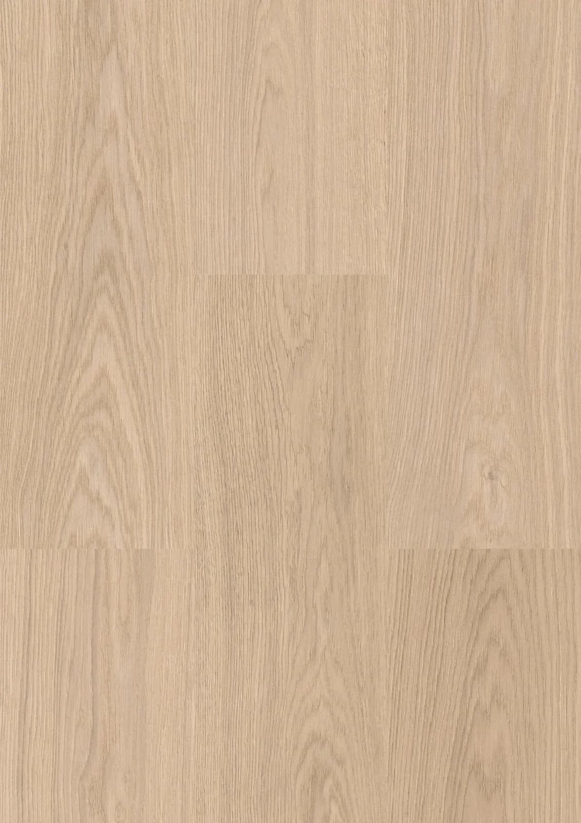 Egibi Floors Winnipeg XXL – panele winylowe SPC na klik 8 mm