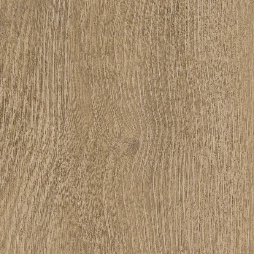 Invictus Champagne 31 - Click XL 6mm - Divine Oak