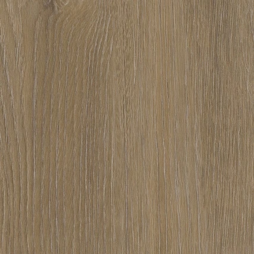 Invictus Cookie 32 - Dryback XL LVT - Divine Oak