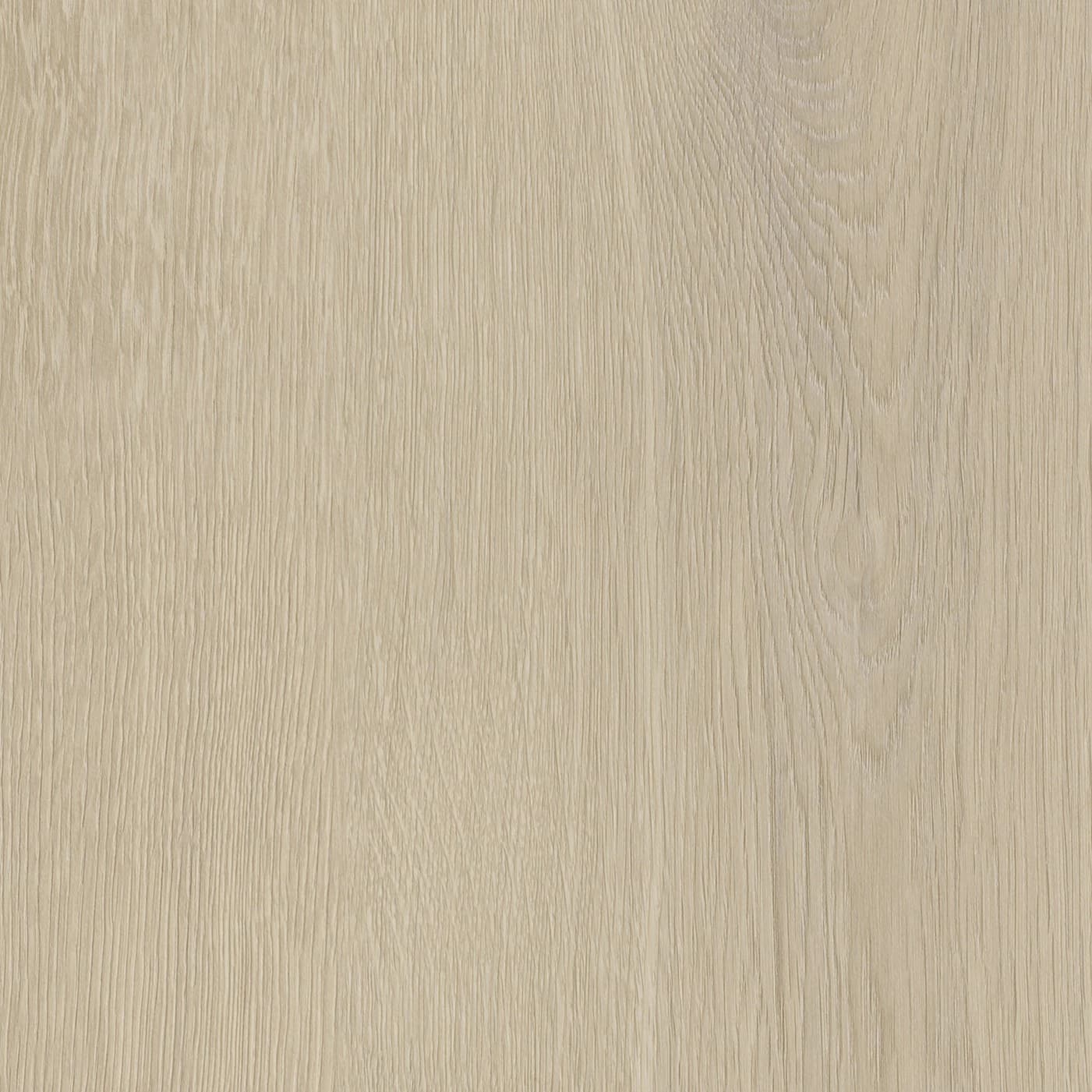 Invictus Truffle 31 - Click XL 6mm - Belrose Oak