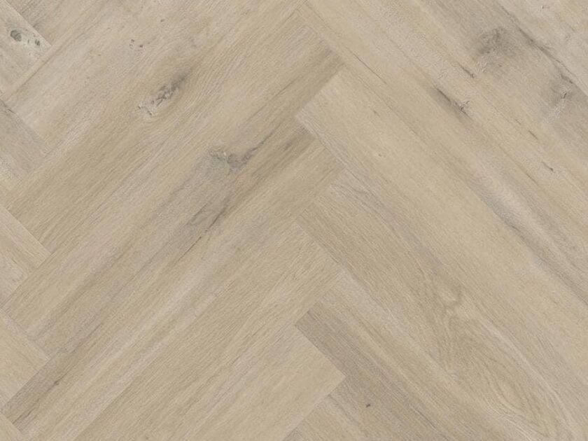 Sand Maple