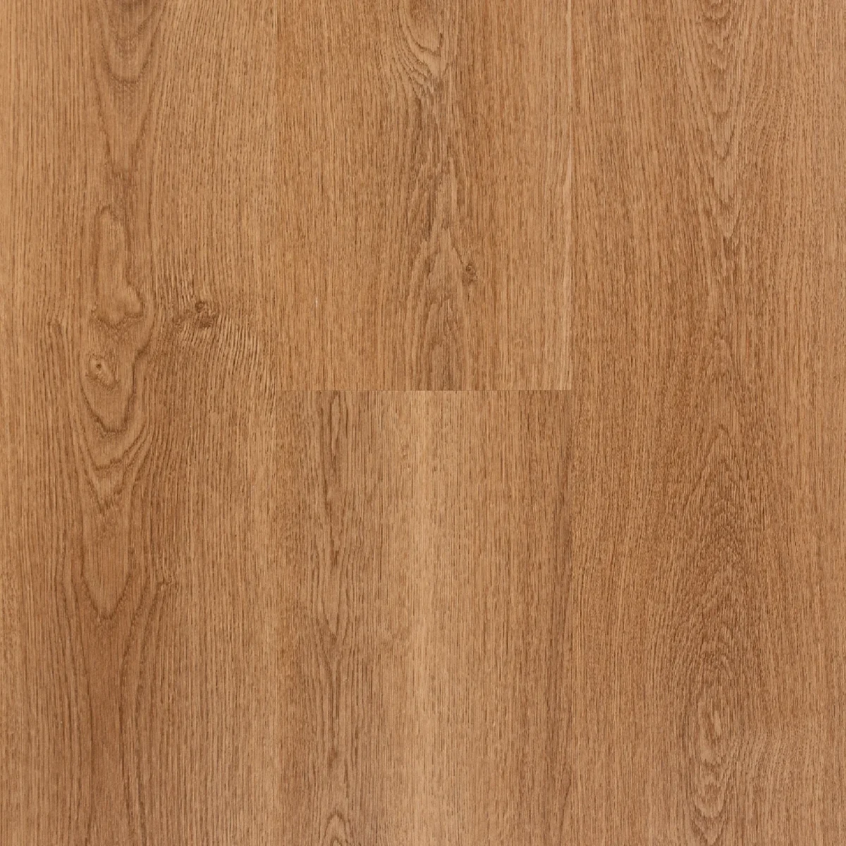 barrie oak xxl — spc na klik 8 mm