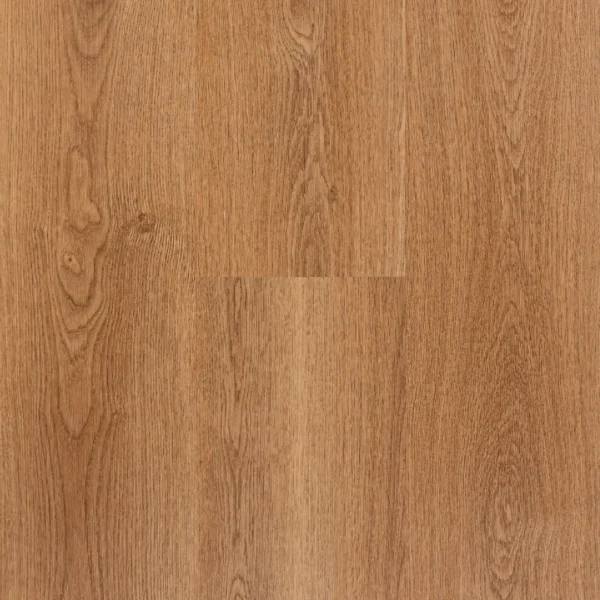 barrie oak xxl — spc na klik 8 mm