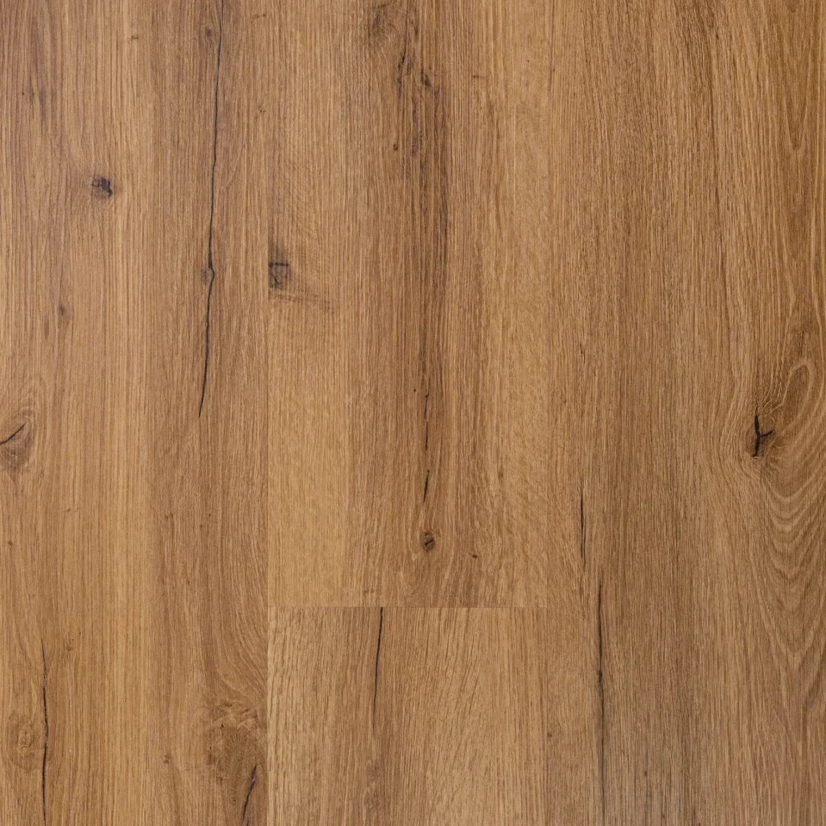 canmore — lvt na klej 2 mm egibi floors