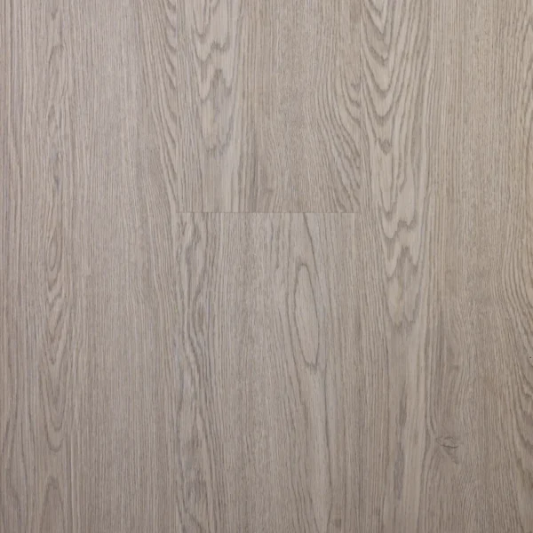 torontoo egibi floors